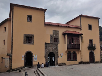 narcea narcea